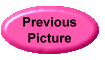 Go To Previous Picture